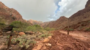 Grand Canyon Emergency: Search Intensifies for 20 Missing After Catastrophic Flash Floods Ravage Bright Angel Canyon and Phantom Ranch.