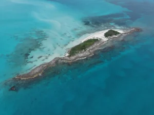 MSC Foundation Bolsters Caribbean Reef Resilience with Strategic Outplanting of Critically Endangered Elkhorn Corals Amid Rising Marine Heat Stress.