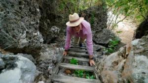 Rediscovering the Cayman Islands: A Journey Through Culture, Conservation, and the Unforgettable Warmth of the Caribbean.