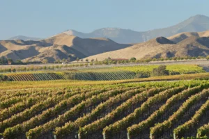 Thirteen Unforgettable Weekend Escapes from Los Angeles Under a Four-Hour Drive