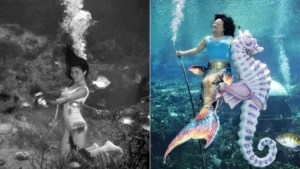 Mermaid Country: How to Dive In